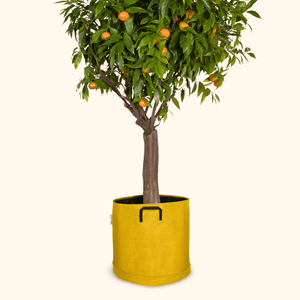 Soucoupe étanche premium - Bourgeon - Pour pot ∅40cm - Jaune