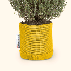 Soucoupe étanche premium - Bourgeon - Pour pot ∅15cm - Jaune