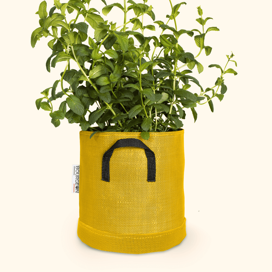 Soucoupe étanche premium - Bourgeon - Pour pot ∅20cm - Jaune