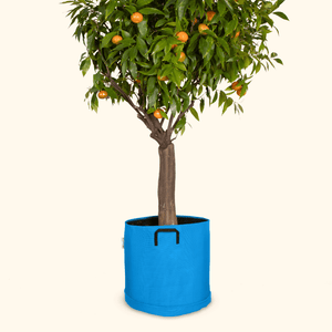 Soucoupe étanche premium - Bourgeon - Pour pot ∅40cm - Bleu