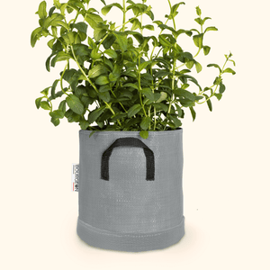 Soucoupe étanche premium - Bourgeon - Pour pot ∅20cm - Gris