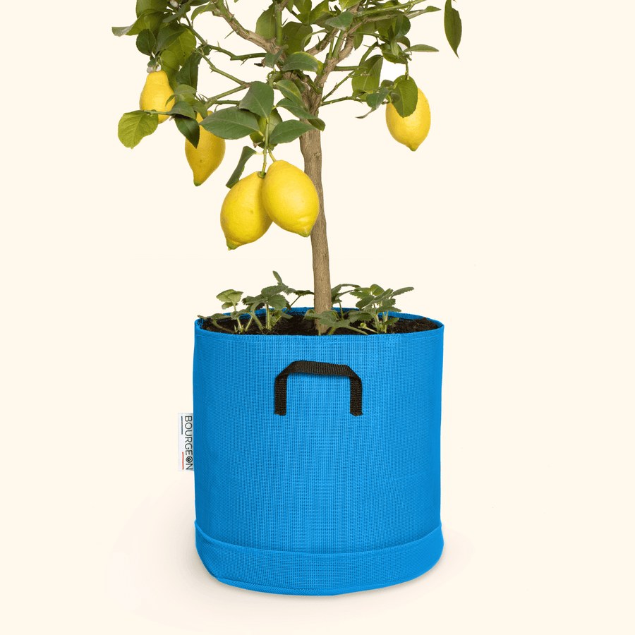 Soucoupe étanche premium - Bourgeon - Pour pot ∅30cm - Bleu