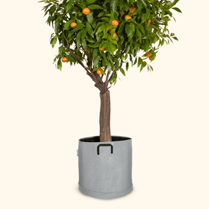 Soucoupe étanche premium - Bourgeon - Pour pot ∅40cm - Gris