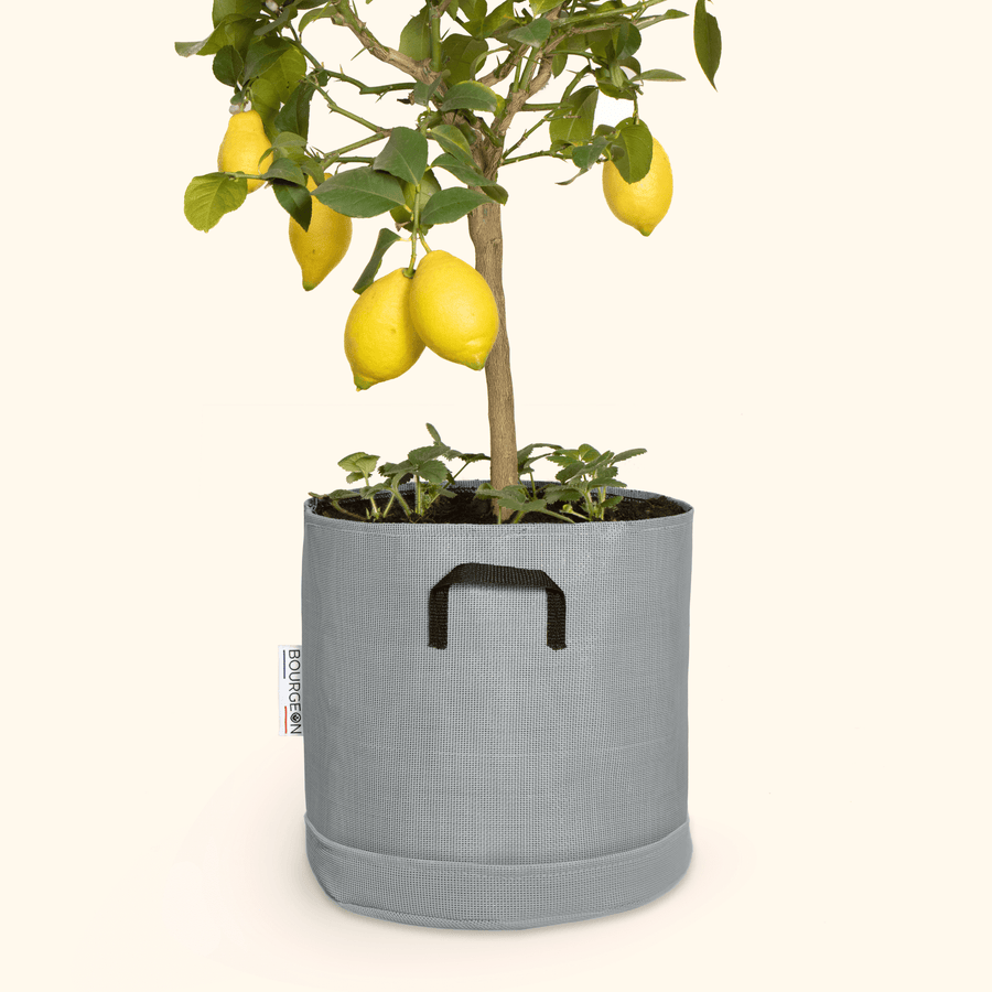 Soucoupe étanche premium - Bourgeon - Pour pot ∅30cm - Gris