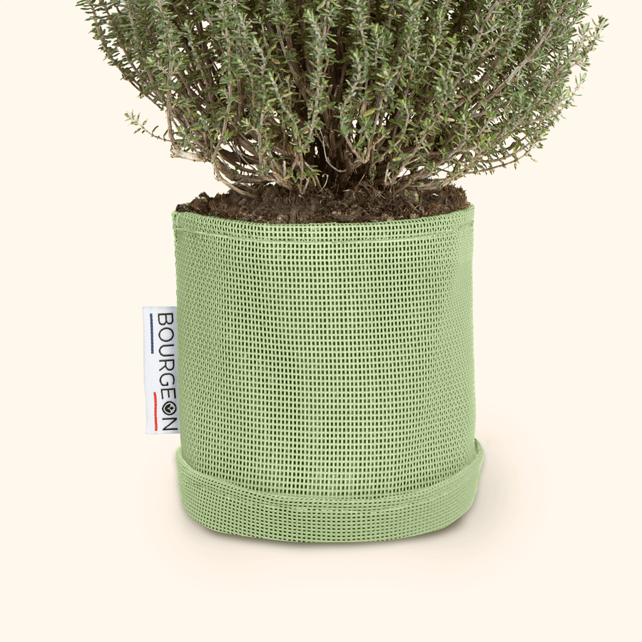 Soucoupe étanche premium - Bourgeon - Pour pot ∅15cm - Vert