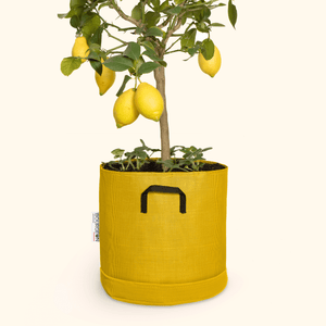 Soucoupe étanche premium - Bourgeon - Pour pot ∅30cm - Jaune