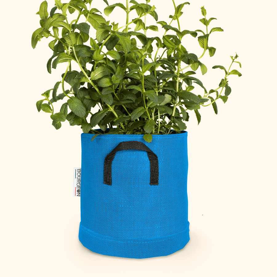 Soucoupe étanche premium - Bourgeon - Pour pot ∅20cm - Bleu