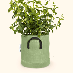 Soucoupe étanche premium - Bourgeon - Pour pot ∅20cm - Vert