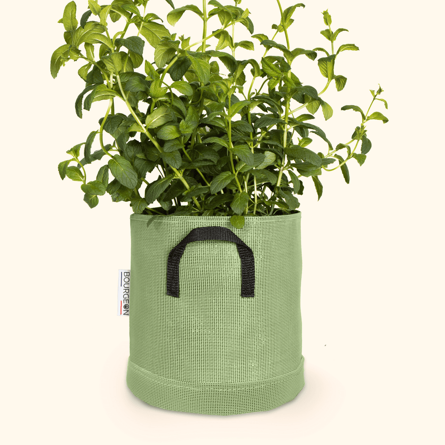 Soucoupe étanche premium - Bourgeon - Pour pot ∅20cm - Vert